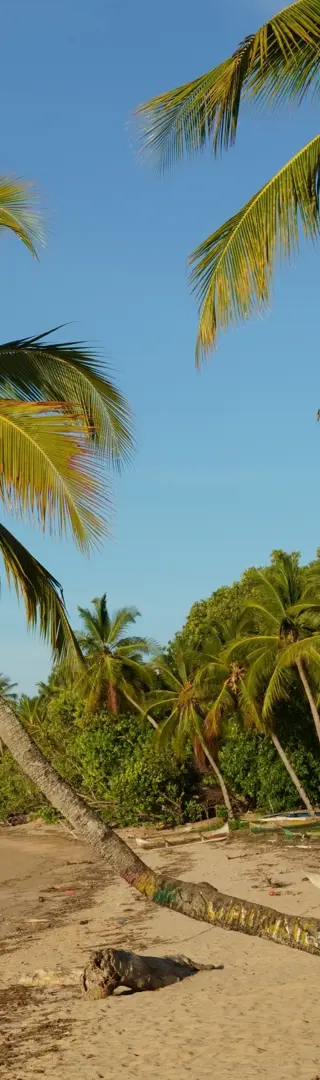 Entspannte Inseltage auf Nosy Be